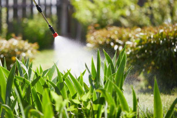 24/7 Emergency Wasp Removal experts in White Hall, IL