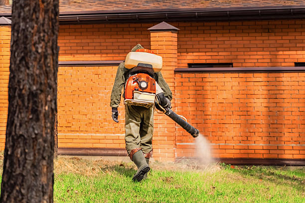 Top rated local Wasp Removal specialists in White Hall, IL